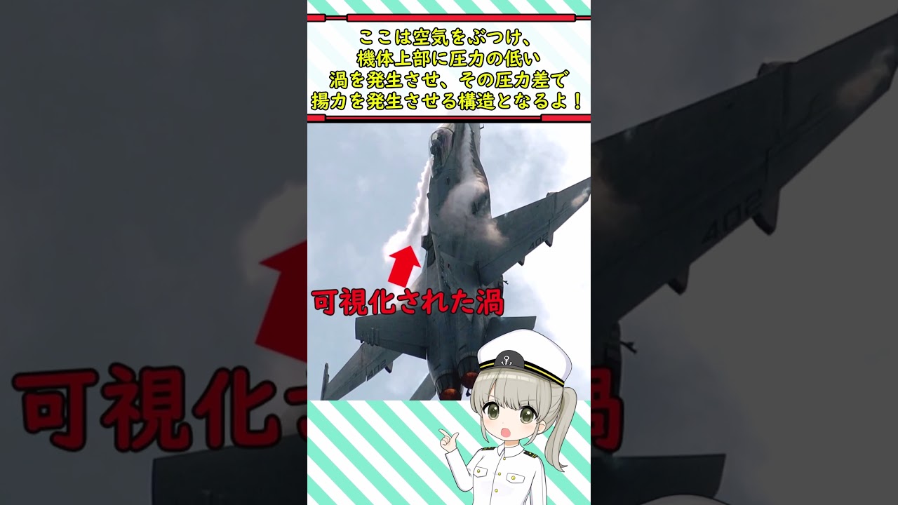 ホーネット戦闘機のこの小さい翼はなんだろう？ #ミリタリー