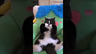 Perkara masukin benang aja #lucu #funny #videolucu #shorts