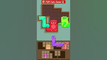 Puzzle Cats🐯#shorts #puzzlecats #funnyvideo