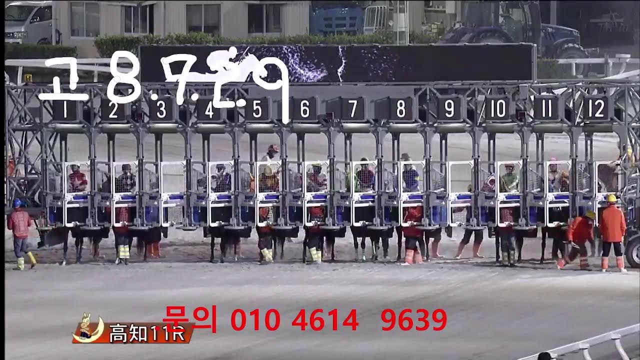 아몬드 아이님의 라이브 방송