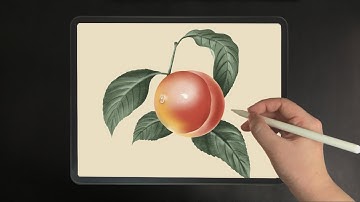 Draw Peach Fruit Using iPad Procreate