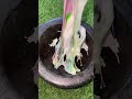 目玉キャンディでアイスキャンディー作り――何でもアリ! #DIY #手作りアイスキャンディー #手作りアイスクリーム