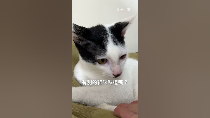 跟小貓住太可怕啦！ #好味小姐 #cat #貓咪