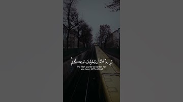 تلاوة هادئة تريح الأعصاب 😴🎧 | القاريء طارق محمد - سورة النساء 🤍🌥️."