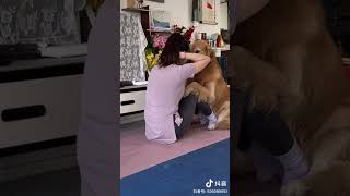 Dog Yoga Partners: Supporting Each Other Through Yoga Poses | Follow Us