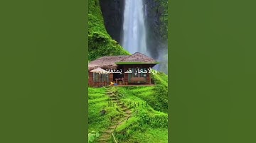 ماتيسر من سورة الذاريات للقارئ الشيخ سعود الشريم💚