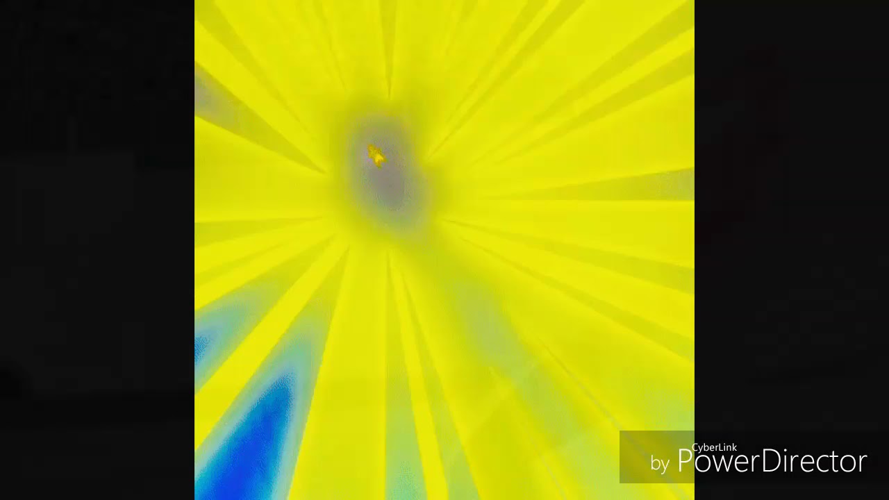 ZOTiYAC LICC HOES [AMV]