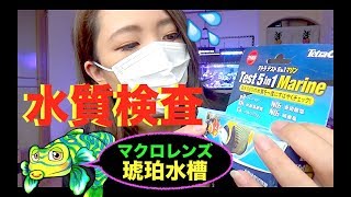 水質検査❗️硝酸塩はあるのか⁉️マクロレンズ琥珀水槽映像✨my marine aquarium MOAMOAちゃんねる