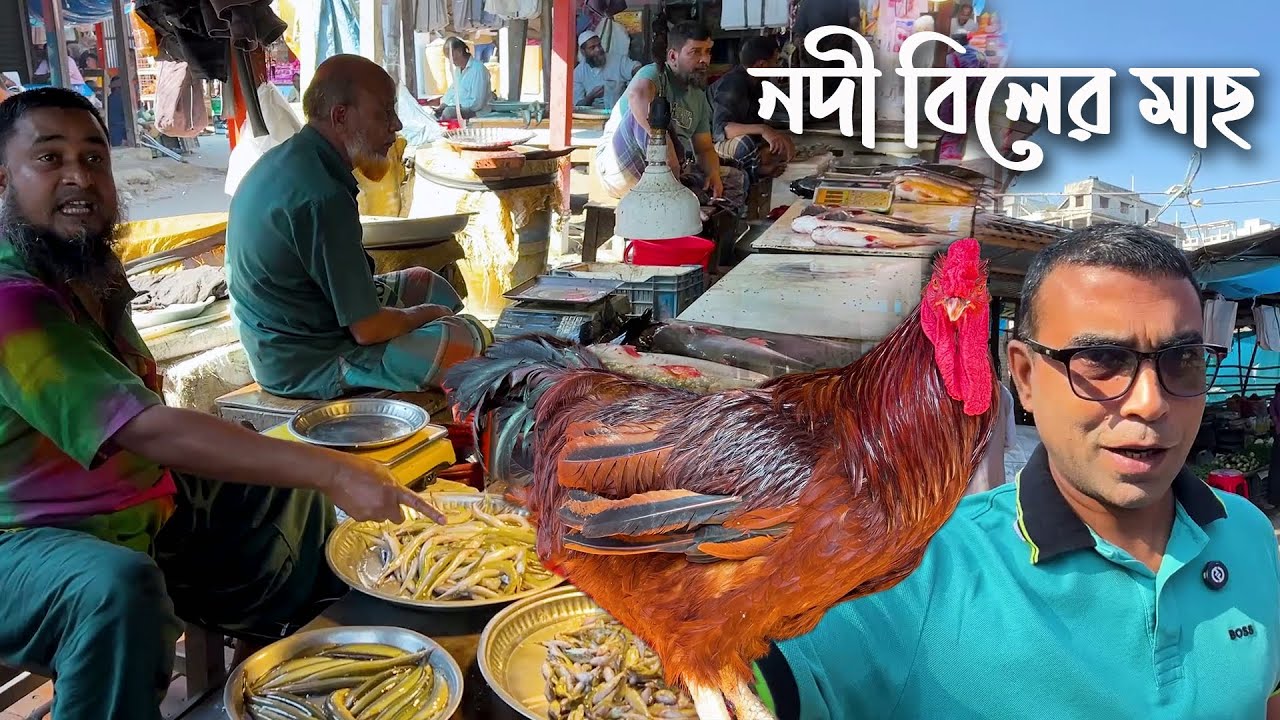 Сегодняшний рыночный счёт: рыба из реки Какила, сарпути | Рынок в сельской местности Бангладеш