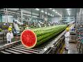 Inside a Modern Watermelon Processing Plant | Making Mountains of Sweet Red Juice (Full Process) 🍉🏭🧃