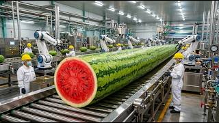 Inside a Modern Watermelon Processing Plant | Making Mountains of Sweet Red Juice (Full Process) 🍉🏭🧃