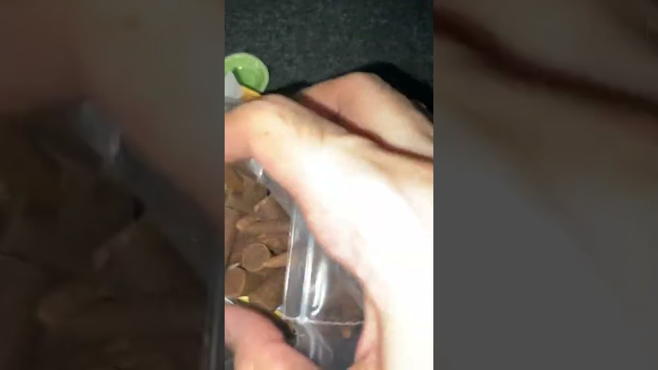 PHOOL LUXURY INCENSE CONES | REVIEW