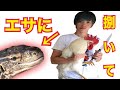 【アニマルタイガ01】命のありがたみ