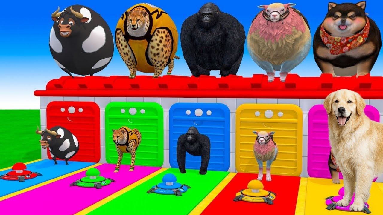 Игра «Длинная горка» со слоном, гориллой, буйволом, бегемотом, тигром. Забавная 3D-игра с животны...