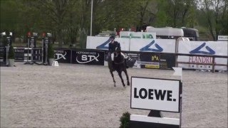 Piper S - Csip Lier 2015