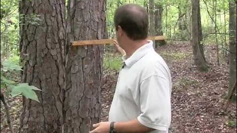 Tips and Techniques log scale stick