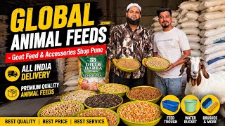 Global Animal Feeds Pune | Haryana & Nagaur Hari Patti, Goat Feed & Accessories 