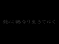 永田町曳き唄 風まかせ 夢まかせ