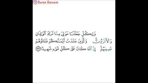 القارئ خالد الجليل - سورة النساء - الآية 33