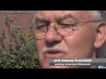 Na celowniku prokuratury