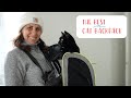 Backpack Train Your Cat – Get To Know Our Favorite Style For Training