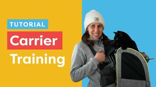 Backpack Train Your Cat – Get To Know Our Favorite Style For Training by Cat School Clicker Training 27,773 views 2 years ago 8 minutes, 42 seconds