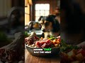 Raw vs Kibble - What’s Best for Your Dog?
