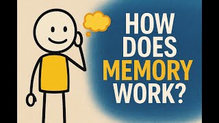 How Does Memory Work? The Hidden Science of Remembering