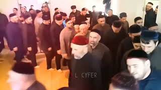 Halal Zone Repost L Cyfer