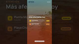 Sargazo Hoy en Cancún | Estado de las Playas