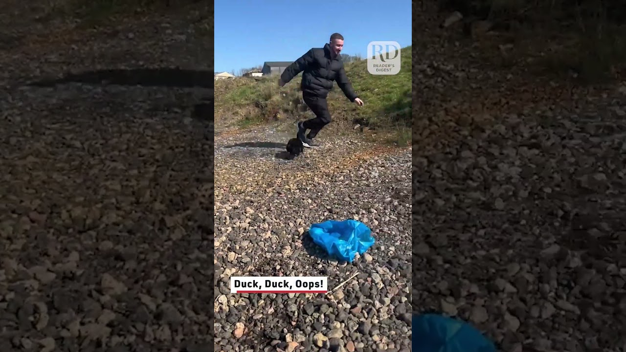 Angry Duck Hilariously Chases Guy From Pond