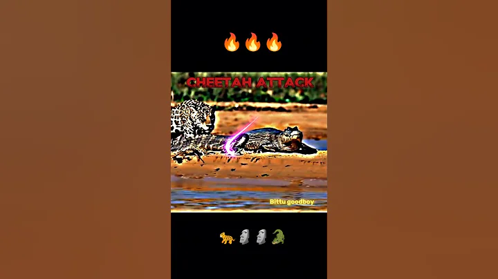 Crocodile attack versus cheetah attack  #wildlife #animals #cheetah #crocodile #wildrift #shorts