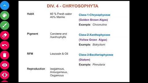 Classification of Algae