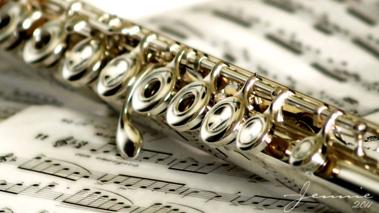 Vivaldi c minor Flute concert YouTube