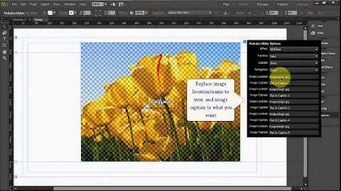Adobe Muse Widget Mokaku Image Slider 17 EffectUser Guide