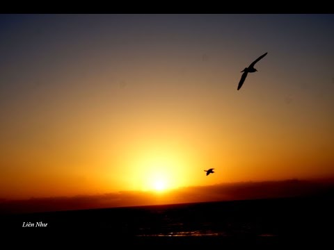 Video Hà Thanh - Nguyễn văn Đông - Phiên Gác Đêm Xuân-Mậu... - youtube