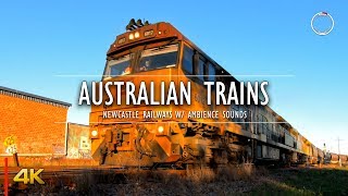 Australian Freight Trains | Railway Spotting Newcastle NSW 4K City Soundscape Ambience | OmniHour