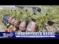 45輛電動機車停路邊荒廢 竟長草開花｜TVBS新聞 @TVBSNEWS01