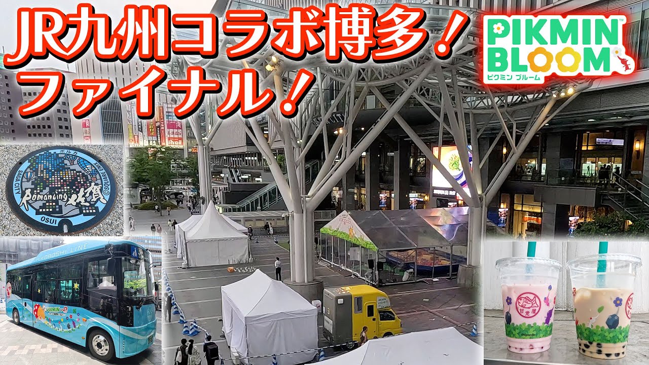 【ピクミンブルーム】JR九州コラボ博多！ファイナル！【Pikmin Bloom】