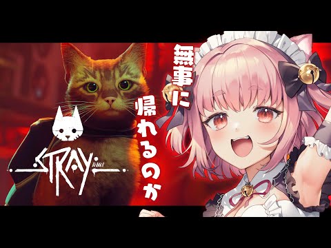 〚 Vtuber 〛 Stray #2┊︎チャプター7あたりから！🐈〚 三宅タマコ / #みやにゃま 〛