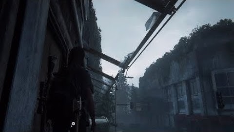 Last of Us 2 Remastered part 16 walkthrough no commentary PS5 HDR