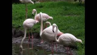 Fuji Finepix S1500 professional photos