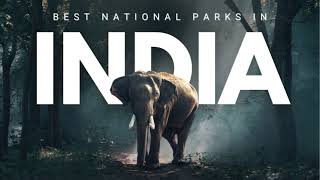 Forest Poster With Text Design In Canva Nature Typography Poster Tutorial