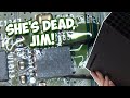 Another completely dead xbox series x can i fix it