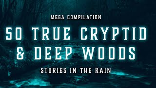 50 TRUE Cryptid and Deep Woods Stories | TRUE Scary Stories In the Rain | COMPILATION | Raven Reads