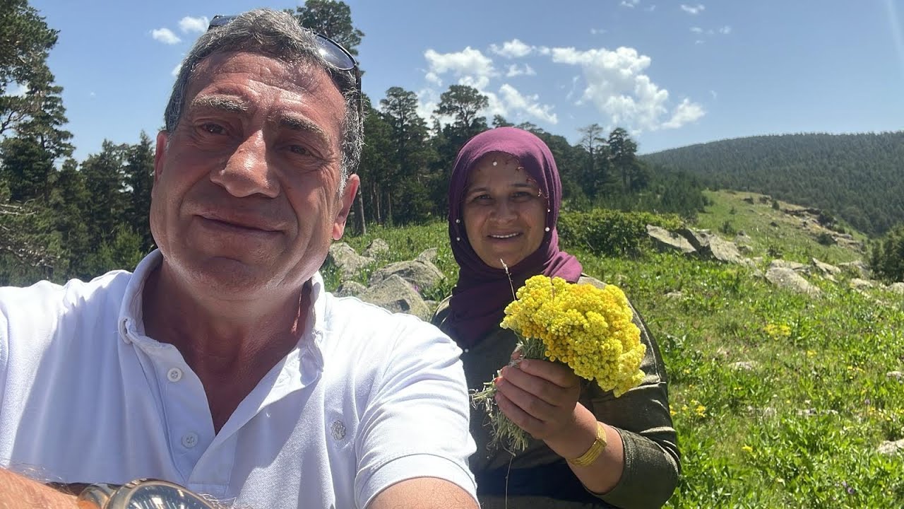 ERZURUM ŞENKAYA PİNDİK YAYLASI SARIGÜNEY MEVKİSİNDEN DOĞAL TABİAT ORMAN MANZARA ÇEKİMİ…01.07.2024