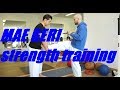 MAE GERI STRENGTH TRAINING - TEAM KI