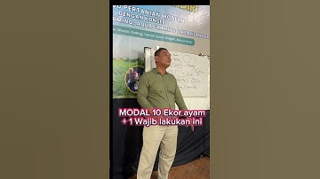 lakukan ini jika beternak ayam 10 ekor+1 #bayusehatmandiri