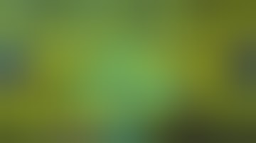 How To Install Kodi on NVIDIA SHIELD TV