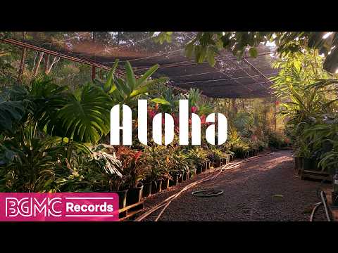 Hawaiian Music for Tropical Garden Days | Lush Greenery, Golden Light & Peaceful Island Relaxation